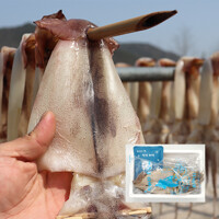 [씨쿡] 꾸덕꾸덕 반건조 오징어 (소)10미 (총800g내외)