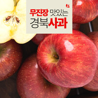 [팜쿡] 무진장 맛있는 경북 부사  가정용 대 10kg