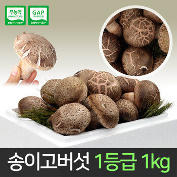 송이고버섯 1등급 1kg /당일수확/생산자 발송