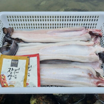국내산 손질 특대 바다장어 1kg (2-3미 내외)