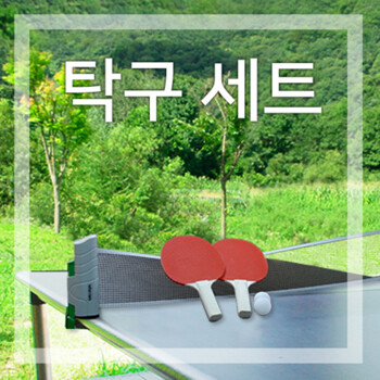 휠러스 레저용 탁구 세트(라켓 공 네트) 탁구네트