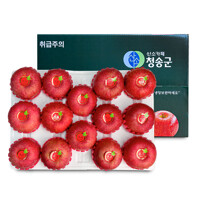 [오늘신선] 경북 청송 명절선물 프리미엄 과일선물 사과세트 5kg(14-15과내)