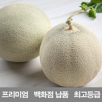 영화청과 특급 국내산 멜론 4kg 진주 논산 곡성 담양 상주 대신 수확 제철 종류 칸탈로그 머스크