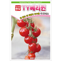 아시아종묘 토마토씨앗종자 TY베리퀸 (50립) 미니토마토