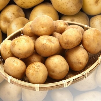 포미식탁 포슬포슬 두백감자 강원도 감자 2kg 특대혼합