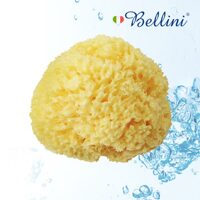 [Bellini Natural Seasponge] 벨리니 천연해면 허니컴 SA 18