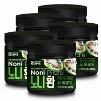 노니환 300g x 5통