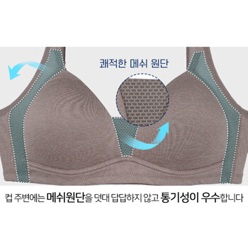  크리비아 메쉬 노와이어 몰드 브라 A컵 cbr1776 